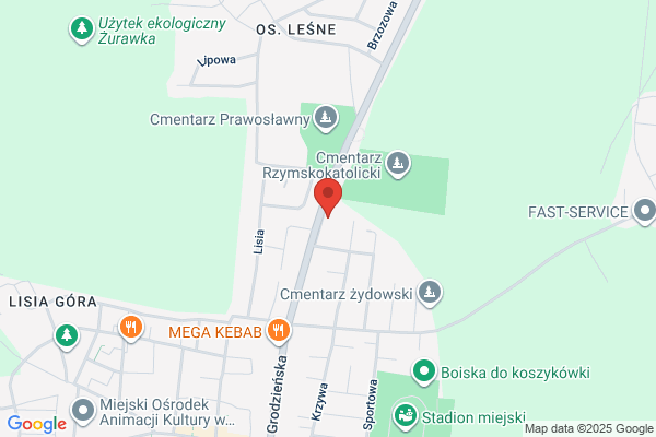 Bielski Jerzy, Slawomir. Zaklad poligraficzny