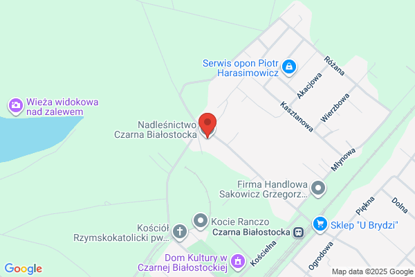 Lesnictwo Osierodek. Nadlesnictwo Czarna Bialostocka