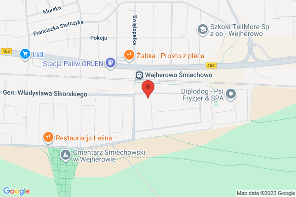 Webster School. Osrodek Jezyków Obcych. Tlumaczenia wierzy