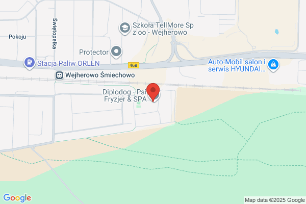 Dental. Gabinet stomatologiczny. Sobczak I., lek. stomatolog