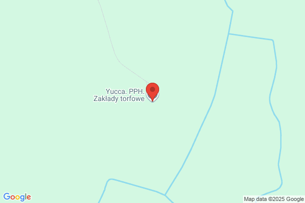 Yucca. Zaklady torfowe. Bach M.