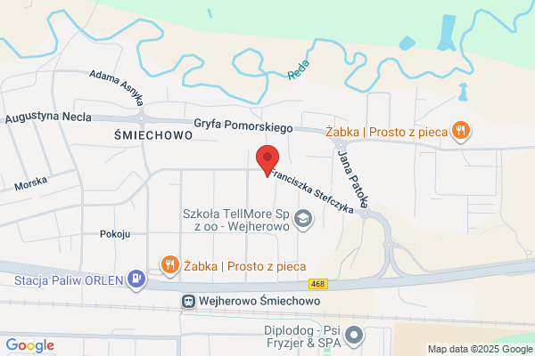 Lomion. Kominki. Wiczkowski L.