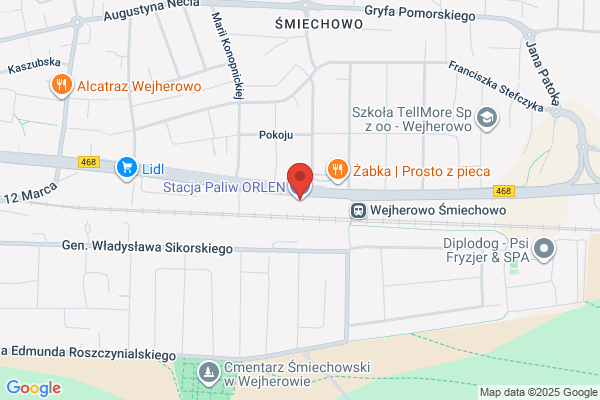 Polski Koncern Naftowy Orlen SA. Stacja paliw