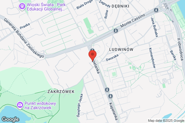 Modrzew. Parkiety, podlogi, podbitka