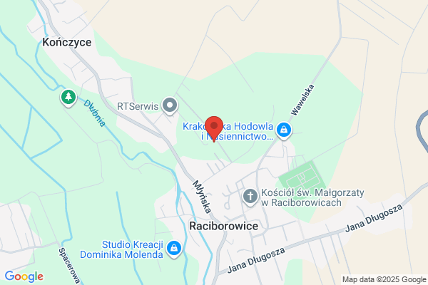 Zwolski Henryk. Tlumacz przysiegly jez. angielskiego