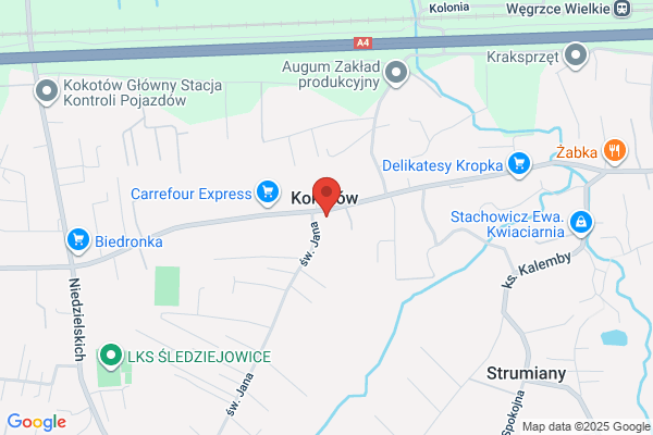 Fortitudo CKF. Centrum komputerowe. Stanek M.