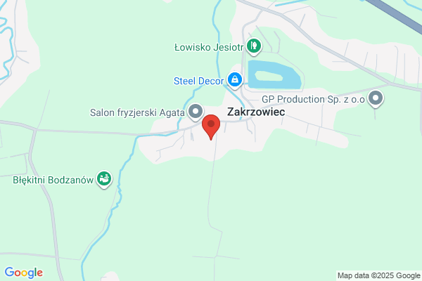 Lizart. PPU. Ksiazek U.