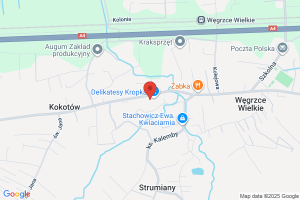 Przedszkole Samorzadowe