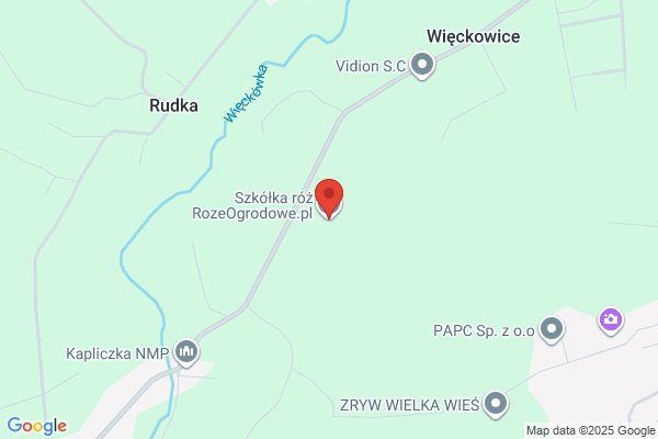 Kwiatowe Rozmaitosci. Szelag E.
