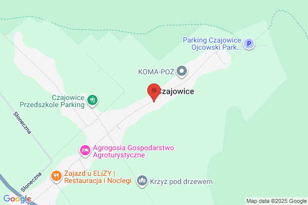 Mazela Tadeusz. Przewóz osób