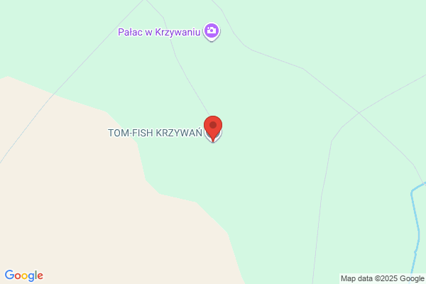 Tomfish. Tomczyk j.
