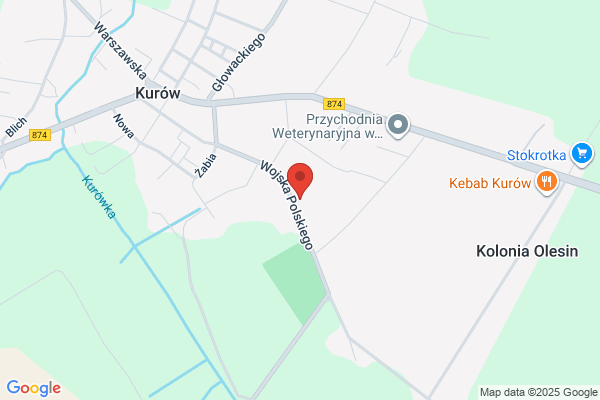 Auto Boss Leder. PHU. Stacja kontroli pojazdów