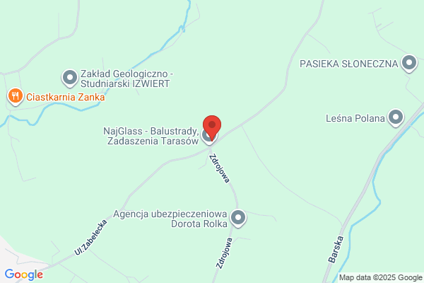 Najduch Mieczyslaw. Krajowy i zagraniczny przewóz osób