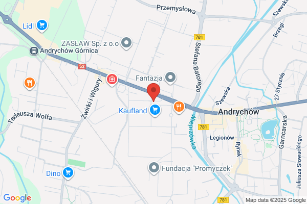 Ludwik. Pralnia ekologiczna