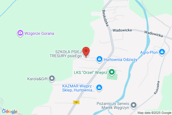 System. Osrodek szkolenia kierowców. Wiercimak D.