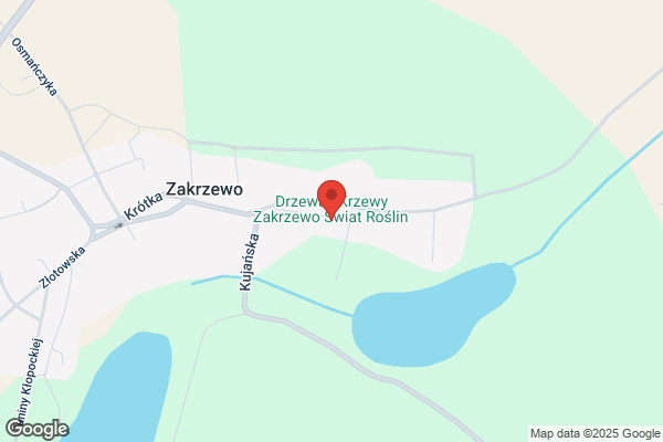 Drzewa i krzewy ozdobne