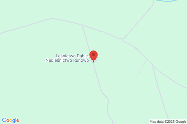 Lesnictwo Dabie. Nadlesnictwo Runowo