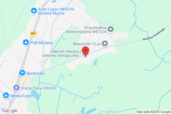 Miczko Joanna. Gabinet masazu