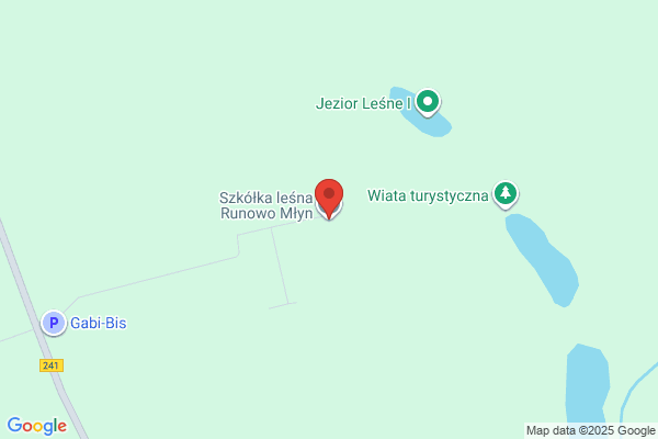 Szkólka lesna Runowo Mlyn. Nadlesnictwo Runowo
