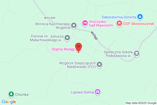 Szyling Kazimierz. Stadnina koni