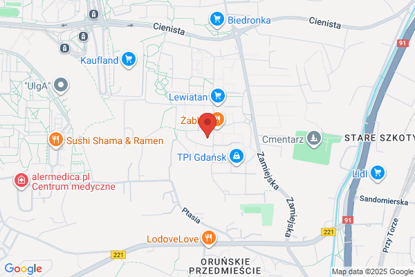 Prestige Line, Transport na lotnisko Gdańsk