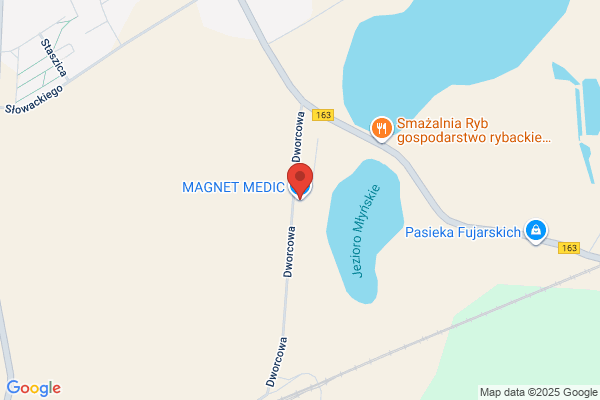 Mag-Net. Magnetyzery