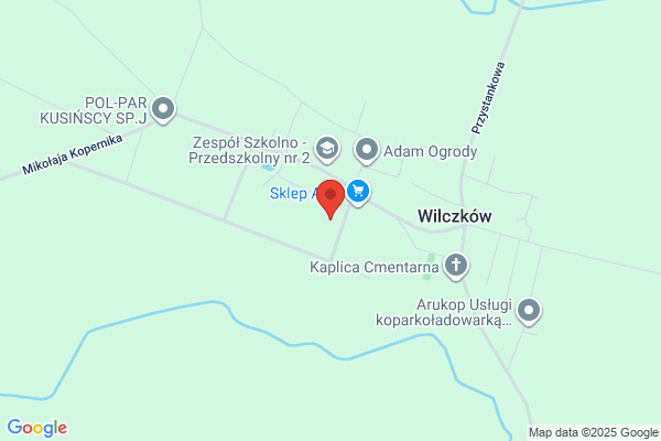 Rak Andrzej. Publiczny transport bagazowy