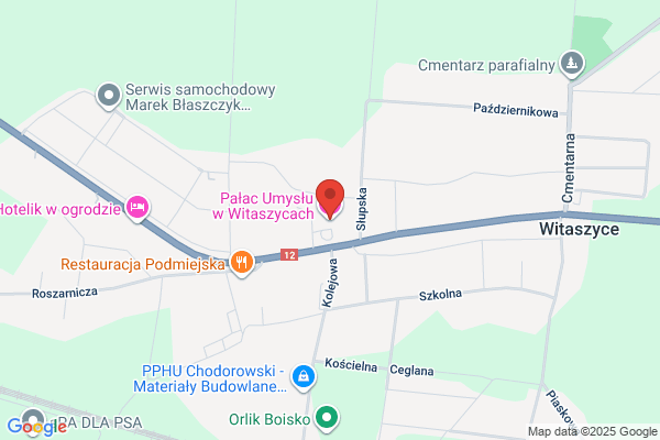 Palac Witaszyce. Ho