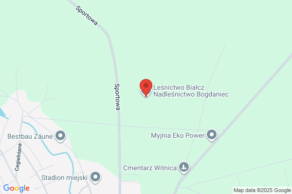 Lesnictwo Bialcz. Nadlesnictwo Bogdaniec