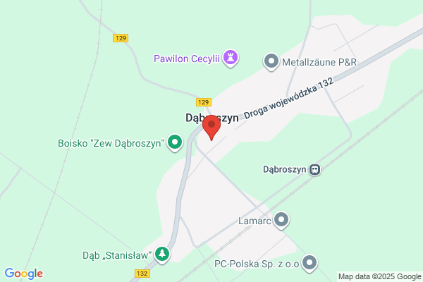 Palac Dabroszyn