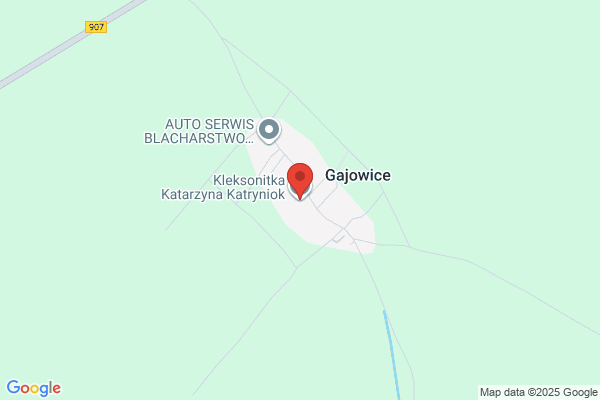 Litke Katarzyna. Uslugi kelnerskie
