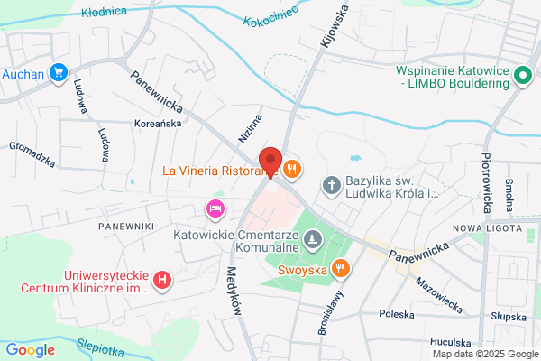 Ruch SA w Warszawie. Oddzial w Katowicach. Zespól
