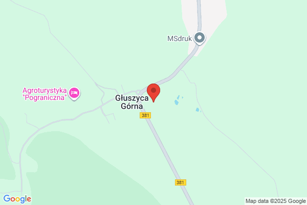 Wiktorowicz W. Zaklad robót inzynieryjno - budowlanych