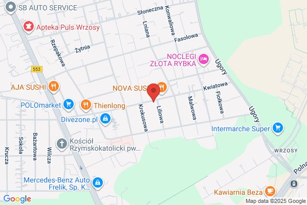 APG. Przeguby, pólosie napedowe