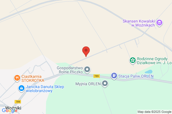 Bilans. Doradztwo podatkowe. Górniak G.