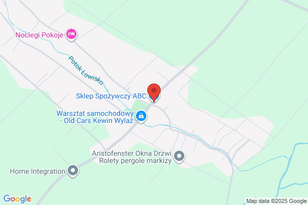 ABC. Sklep z odzieza. Pniak H.