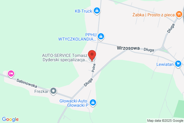 Dyderski Tomasz. Autoserwis. Specjalizacja Citroën, Peugeot