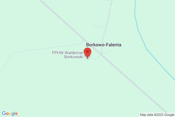 Borkowski. Sp.j.
