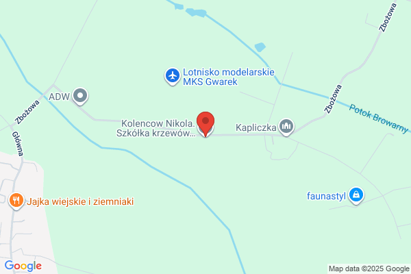 Kolencow Nikola. Szkólka krzewów ozdobnych, rózaneczników i iglaków