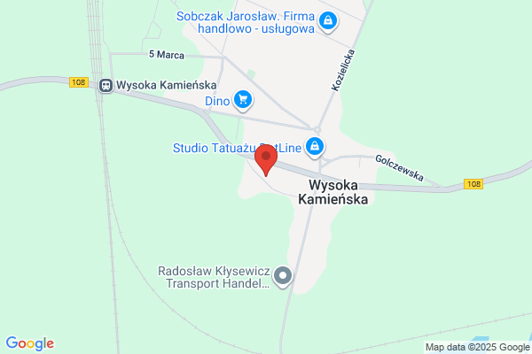 Trans SC. Transport krajowy, wywrotki