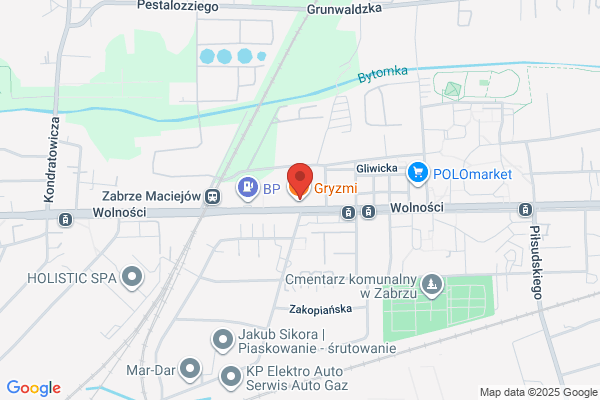 Plus8.pl SC. Górczynski M., Pluta L., Seemann R.