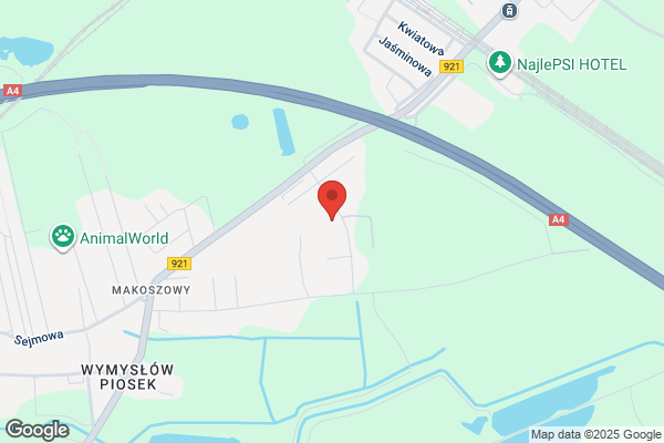 Domex. Firma budowlana. Uslugi budowlane