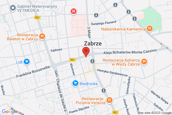 Elektronika. Serwis glosników