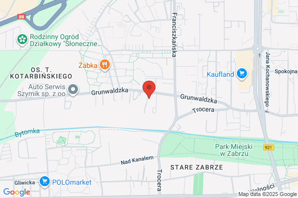 Nor-Blin. Systemy kogeneracji z gazu i biomasy