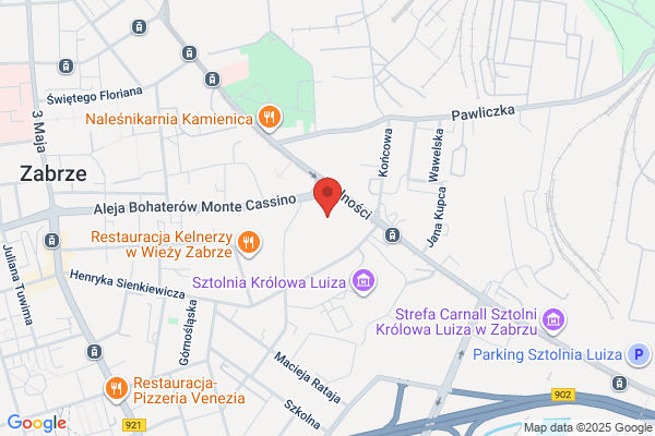 Inwest Region. Sp. z o.o. Zjednoczone Sily Geodezyjne Slaska
