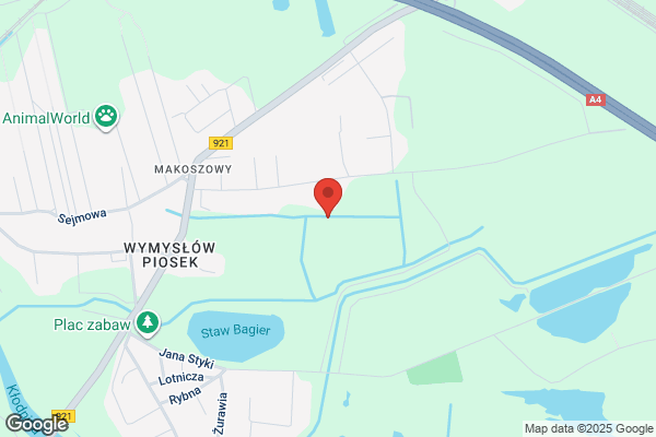 Woroniecki Aleksander. Uslugi geodezyjno - kartograficzne