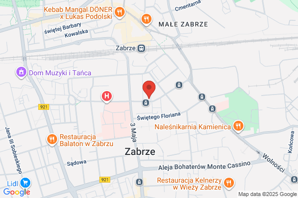 Lis. Studio komputerowe
