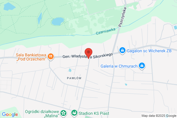 Strelicja. Kwiaciarnia