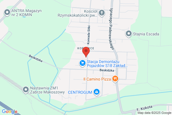 Plastyk. ZHU. Chwaszczewski W.