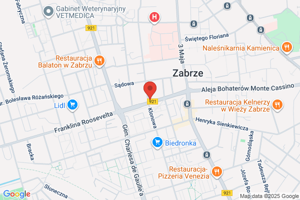 Karski Leszek. Laboratorium protetyki stomatologicznej